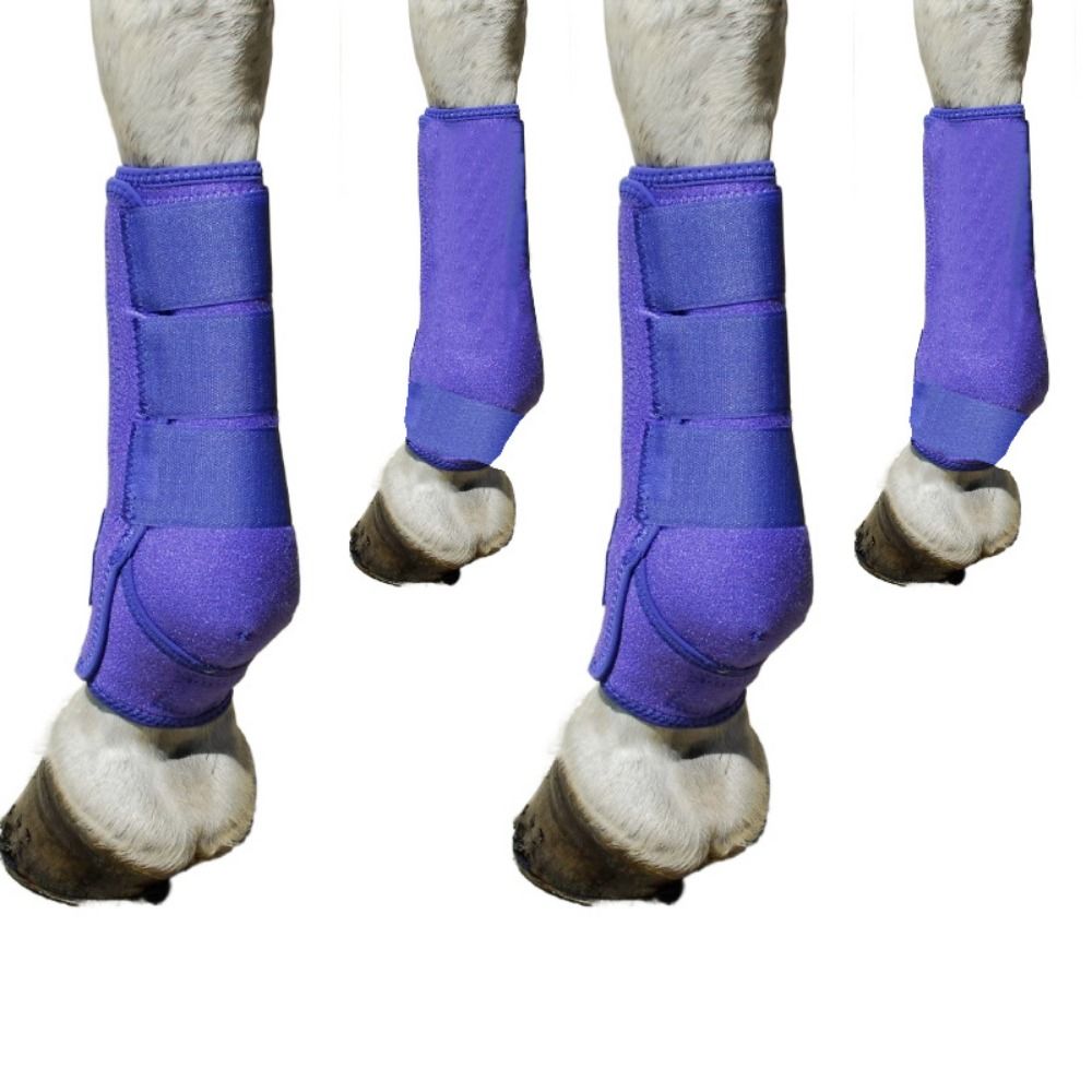 Brushing Boot Horse - 4개/세트 다채로운 색상의 승마 부츠 세트