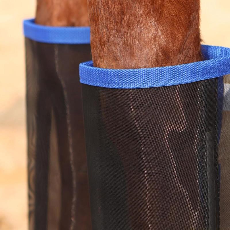 31BE 말 플라이 부츠 보호 말 다리 재활 훈련을위한 - Brushing Boot Horse 리뷰 및 가격