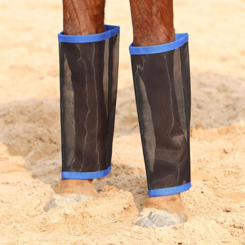 31BE 말 플라이 부츠 보호 말 다리 재활 훈련을위한 - Brushing Boot Horse 리뷰 및 가격