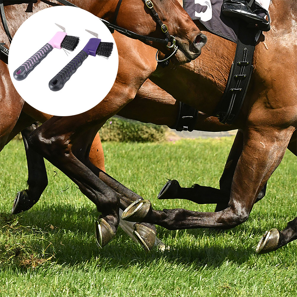 2개입 말굽 청소 브러쉬, 안정적인 PP TPE 소재, - Brushing Boot Horse 리뷰 및 가격