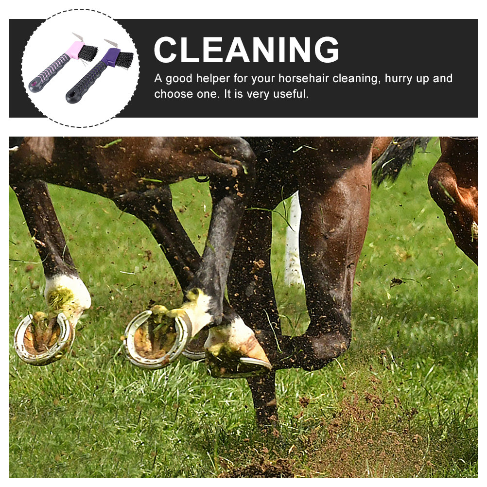 2개입 말굽 청소 브러쉬, 안정적인 PP TPE 소재, - Brushing Boot Horse 리뷰 및 가격