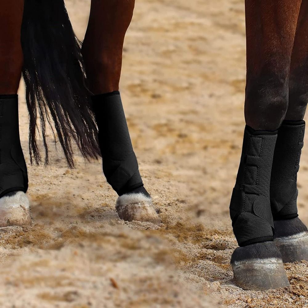 4개/세트 다채로운 색상의 승마 부츠 세트 3가지 사이 - Brushing Boot Horse 리뷰 및 가격